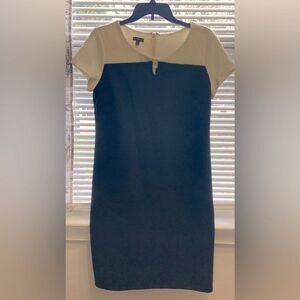 Talbots Blue and Crème Dress 6